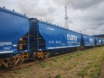 RUMO HTT-065691-7